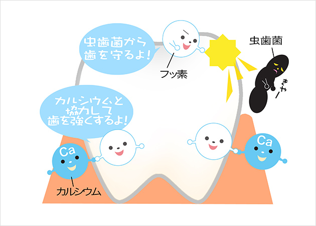 歯磨きペーストを使い始めるタイミング